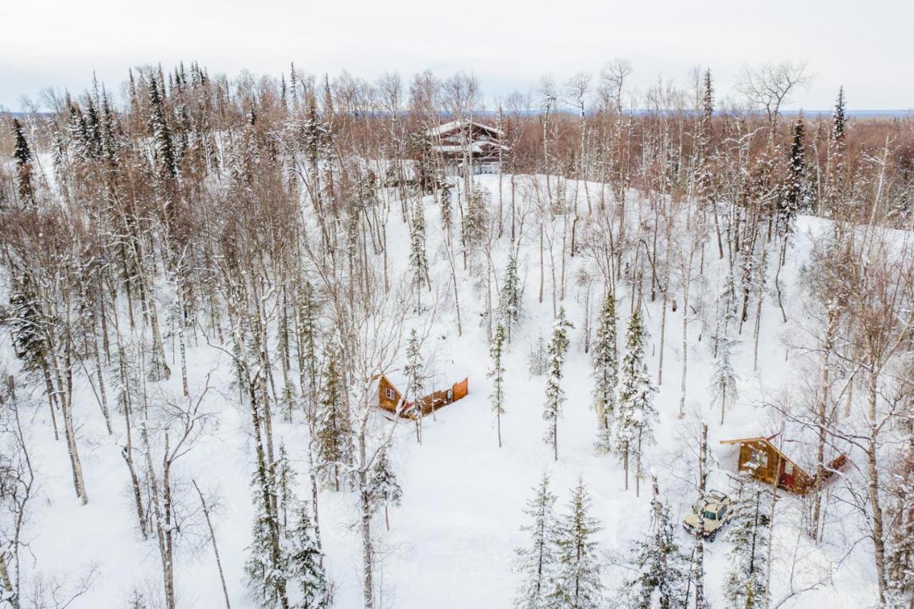Spruce Cabin ทัลคีทนา ภายนอก รูปภาพ